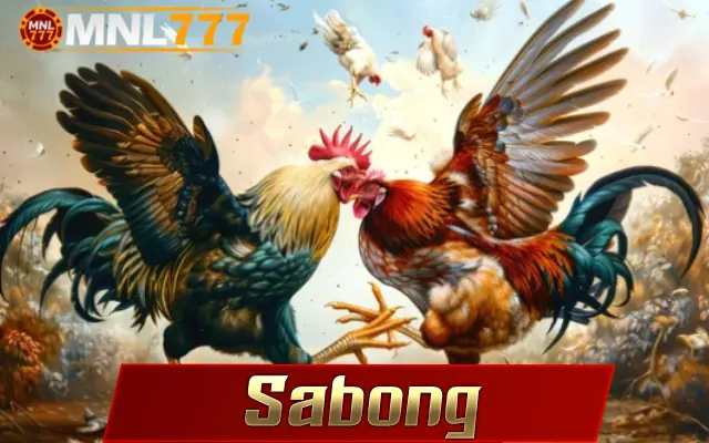 Sabong